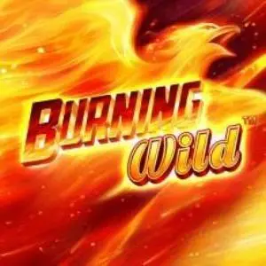 Burning Wild