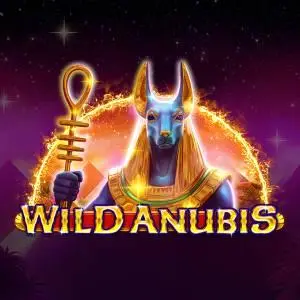 Wild Anubis