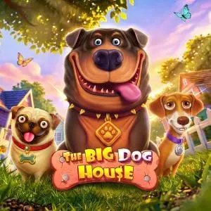 The Big Dog House