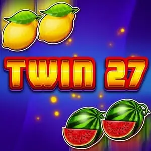 Twin 27